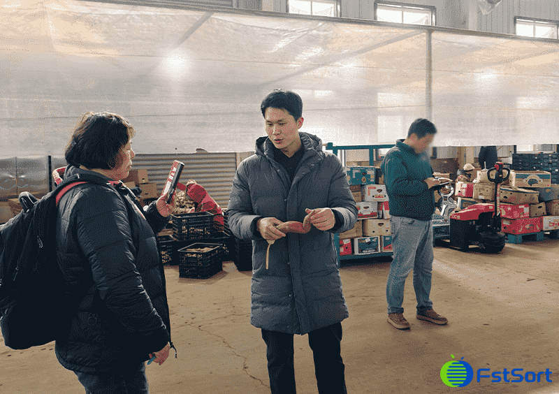 images/1772613164522sweet potato Processing line.png